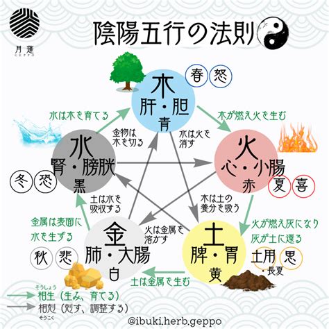 地支五行陰陽|陰陽五行